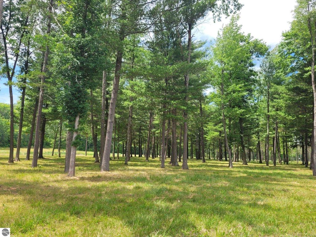 Image 6 of property listing at 0 W M-55, Wellston, MI 49689