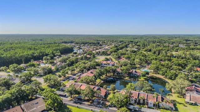 3505 TARPON WOODS BOULEVARD N401, Palm Harbor, FL 34685