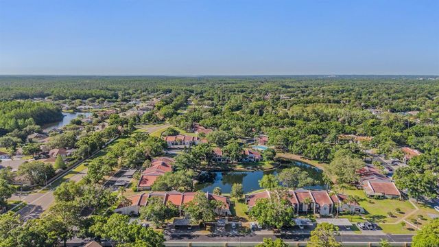 3505 TARPON WOODS BOULEVARD N401, Palm Harbor, FL 34685