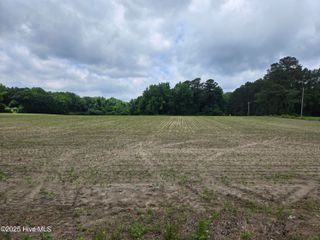 0 Ballard Road, Williamston, NC 27892