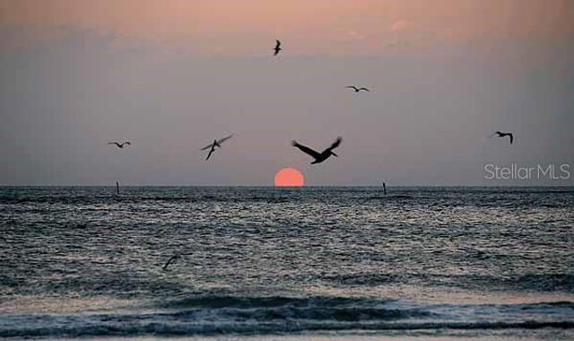 6318 GRAND OAK CIRCLE 201, Bradenton, FL 34203