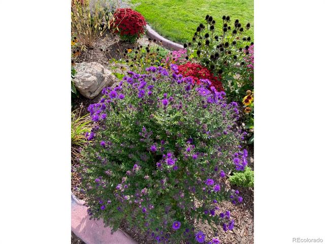 4020 W 15th Street, Greeley, CO 80634