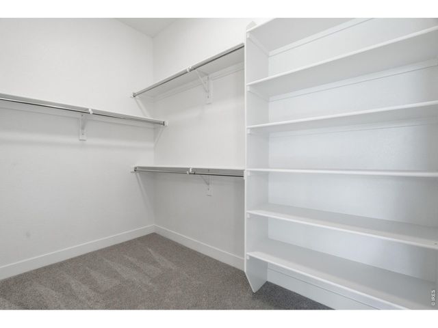 8463 Annapolis Dr, Windsor, CO 80528