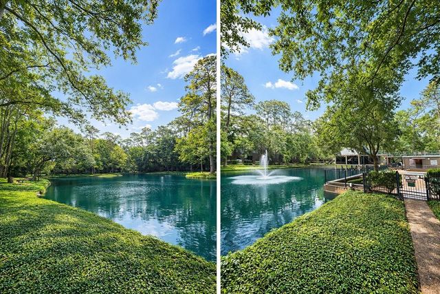 35 Litchfield Lane 229, Houston, TX 77024