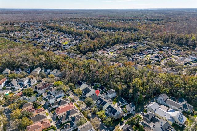 1031 JEATER BEND DRIVE, Celebration, FL 34747