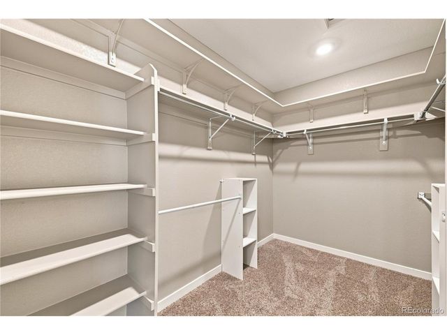 4830 Fiadore Ln, Castle Rock, CO 80104