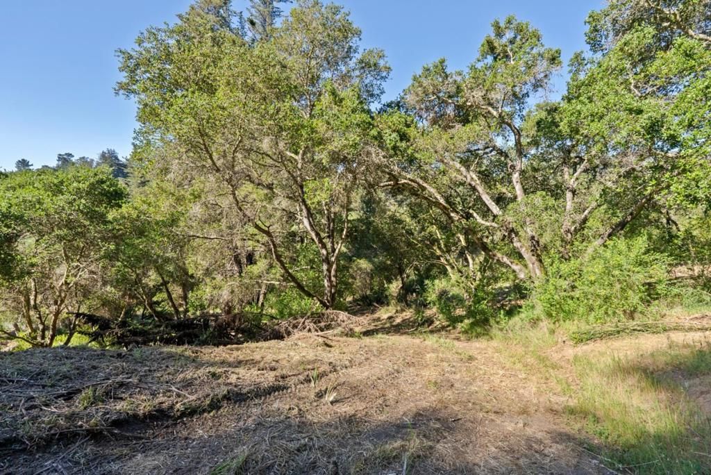 Image 82 of property listing at 688 Calabasas Road, Watsonville, CA 95076