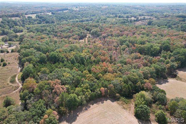 1557 Mill Hill Road, St Clair, MO 63077