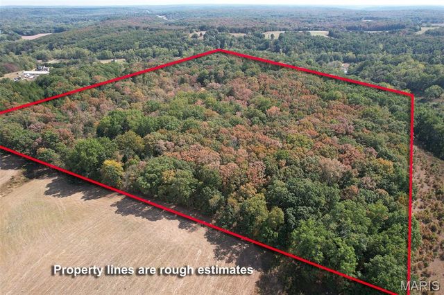 1557 Mill Hill Road, St Clair, MO 63077