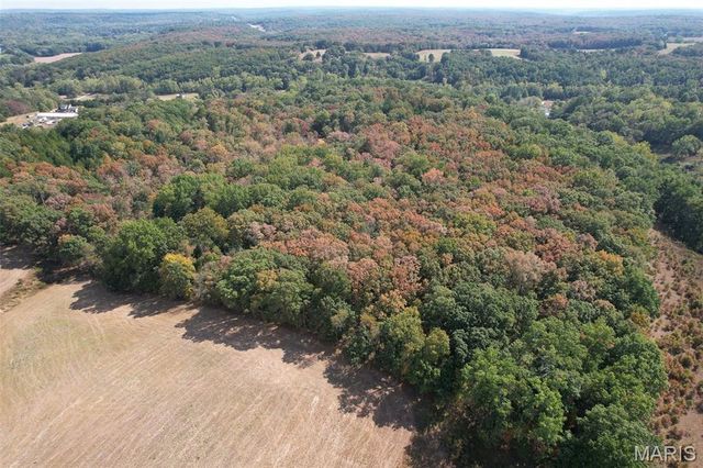 1557 Mill Hill Road, St Clair, MO 63077