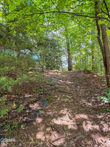 440 Deer Path Lane, Gatlinburg, TN 37738