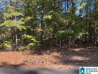 DOGWOOD RIDGE, Wedowee, AL 36278