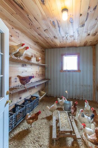 656 Leo's Lane, Norton, VT 05907