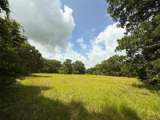 TBD Tract 9 County Road 261, Oakwood, TX 75855