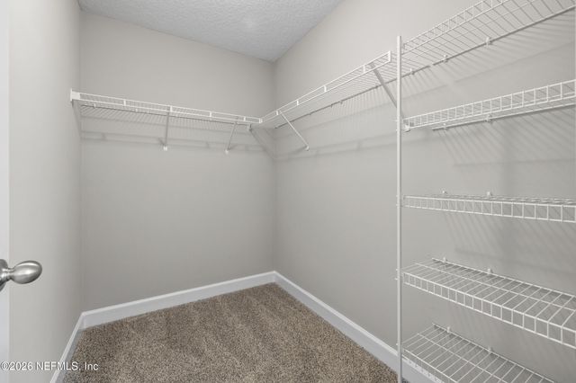 16143 KAYLA COVE Court, Jacksonville, FL 32218