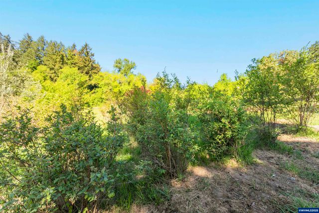 9275 SE Terrace View Ct, Amity, OR 97101