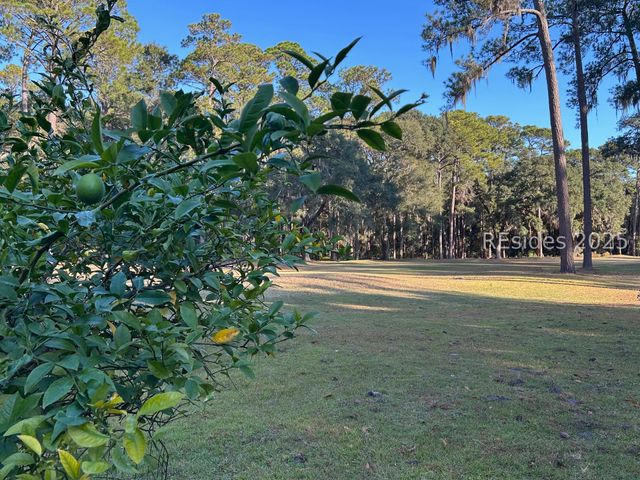 3 Welcome Breeze Ct, Daufuskie Island, SC 29915