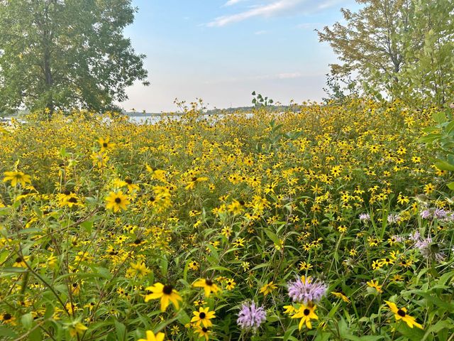 19512 Two Rivers Road, Avon, MN 56310