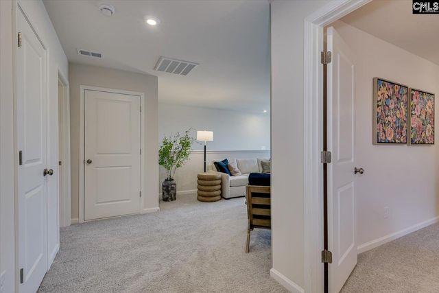 708 Feldspar Court, Chapin, SC 29036