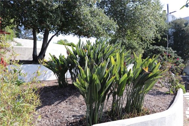 703 Luton, Glendale, CA 91206