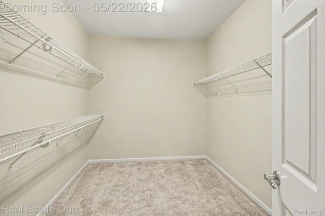 3991 Rainier Drive 1, Oceola Township, MI 48843