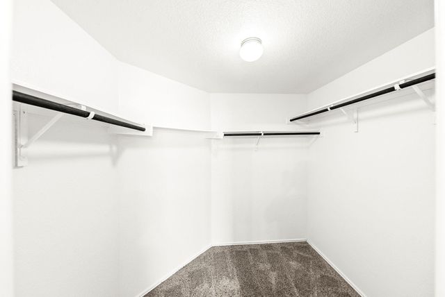 3416 Pauling LOOP, Round Rock, TX 78665