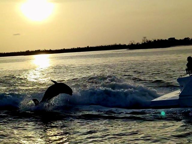 4405 NW 32ND TERRACE, Cape Coral, FL 33993