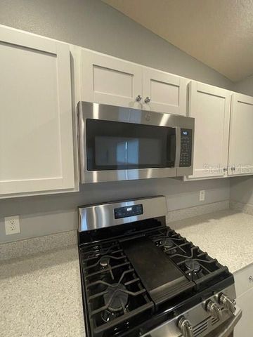 1221 SEAN CURRAN COURT, The Villages, FL 34762