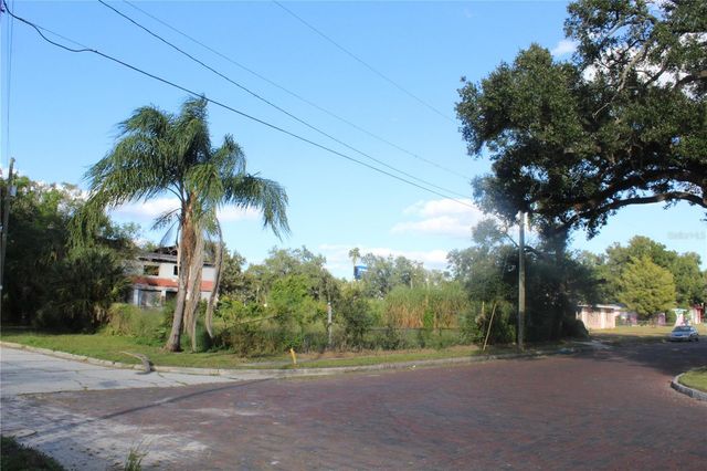 414 & 418 E EMILY + 167408-0000 STREET, Tampa, FL 33603