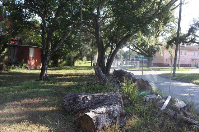 414 & 418 E EMILY + 167408-0000 STREET, Tampa, FL 33603