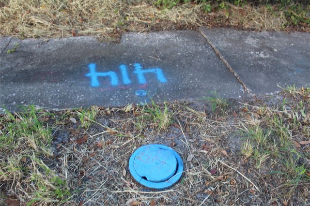 414 & 418 E EMILY + 167408-0000 STREET, Tampa, FL 33603