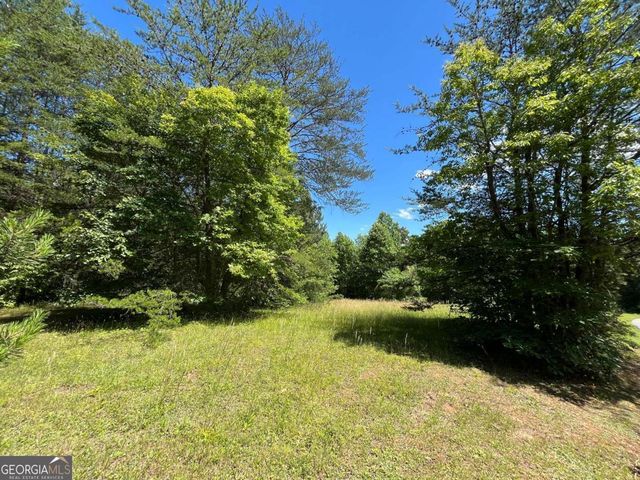 LOT 46 A Licklog Ridge, Hayesville, NC 28904