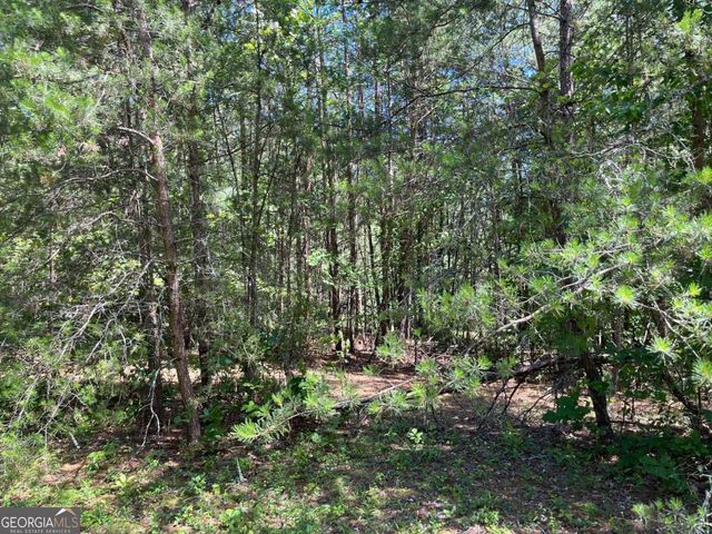 LOT 46 A Licklog Ridge, Hayesville, NC 28904