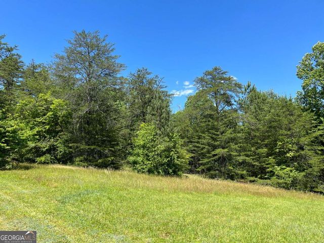 LOT 46 A Licklog Ridge, Hayesville, NC 28904