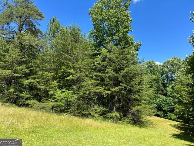 LOT 46 A Licklog Ridge, Hayesville, NC 28904