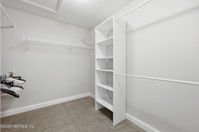 1885 SILO OAKS Place, Middleburg, FL 32068