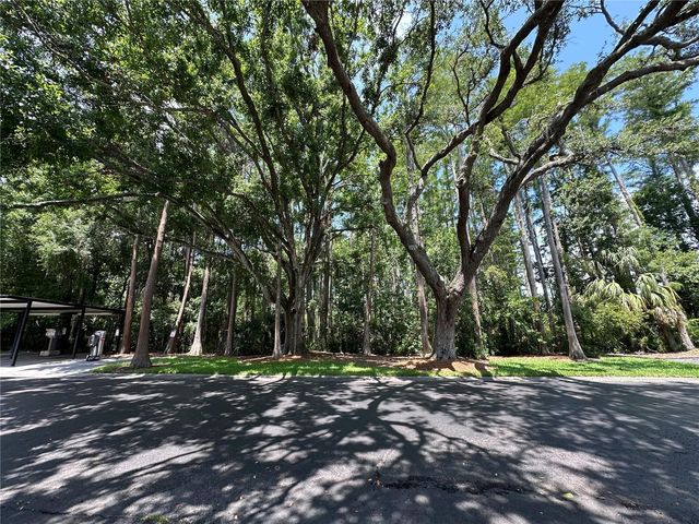 13709 JUNIPER BLOSSOM DRIVE 0, Tampa, FL 33618