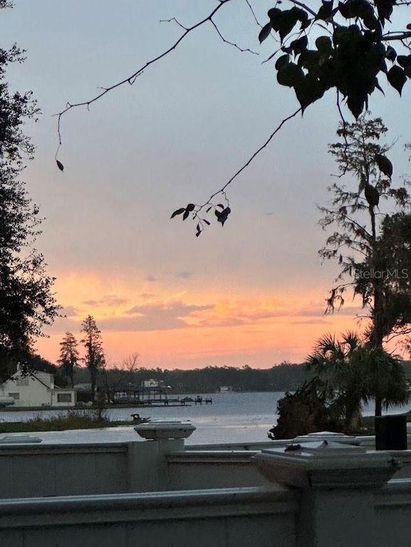 13709 JUNIPER BLOSSOM DRIVE 0, Tampa, FL 33618