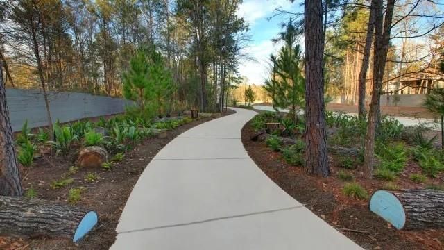 18315 Cubist Court, Conroe, TX 77302