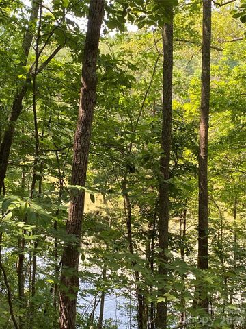 000 Meditation Ridge Ridge 21,22, Nebo, NC 28761
