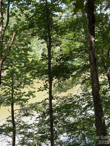 000 Meditation Ridge Ridge 21,22, Nebo, NC 28761