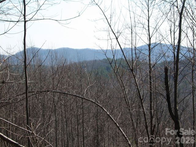 000 Meditation Ridge Ridge 21,22, Nebo, NC 28761