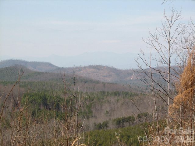 000 Meditation Ridge Ridge 21,22, Nebo, NC 28761