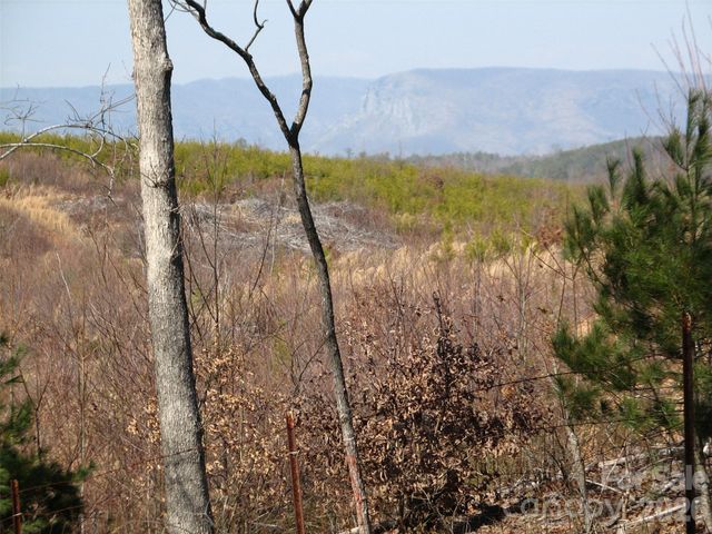 000 Meditation Ridge Ridge 21,22, Nebo, NC 28761