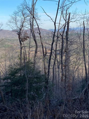 000 Meditation Ridge Ridge 21,22, Nebo, NC 28761