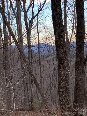 000 Meditation Ridge Ridge 21,22, Nebo, NC 28761