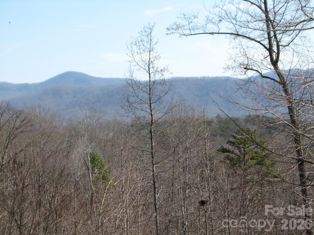 000 Meditation Ridge Ridge 21,22, Nebo, NC 28761
