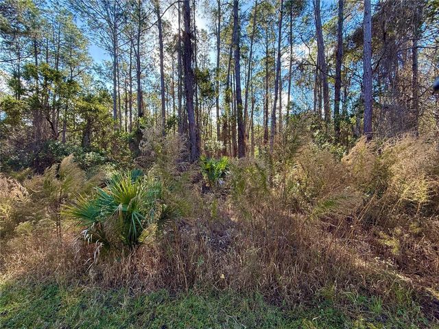LOT 15 APRICOT AVENUE, Eustis, FL 32736