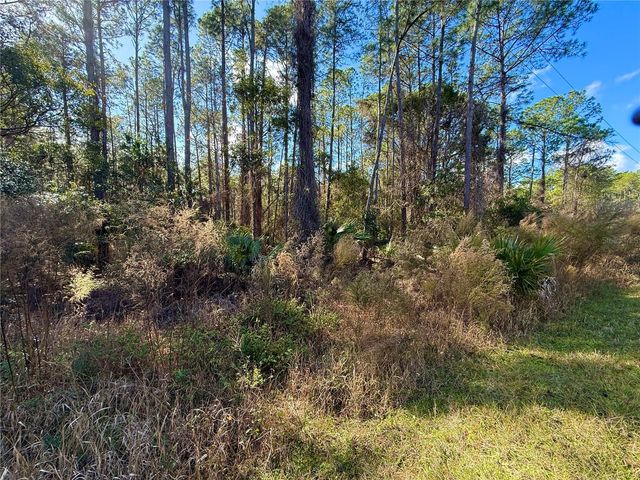 LOT 15 APRICOT AVENUE, Eustis, FL 32736