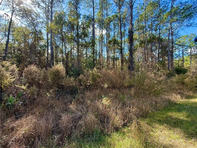 LOT 15 APRICOT AVENUE, Eustis, FL 32736